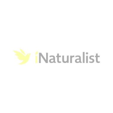 iNaturalist