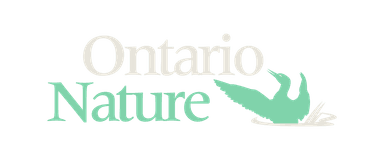 Ontario Nature