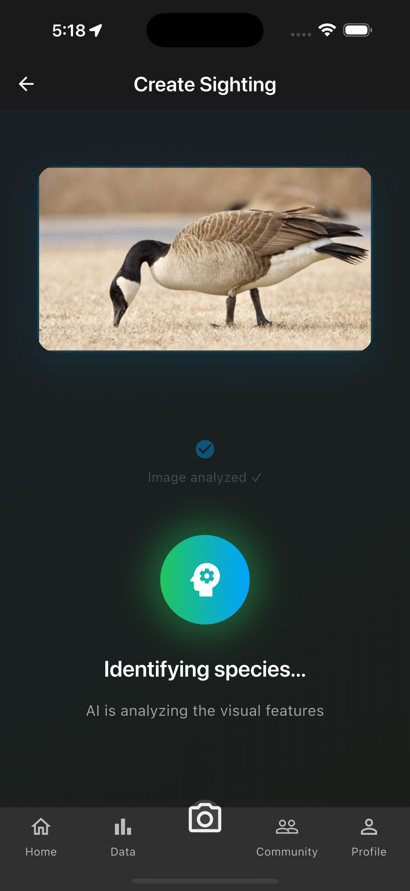 SightTrack App Preview 6